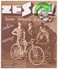 Zesar 1931 067.jpg